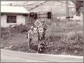 foto nino 4.jpg, 482